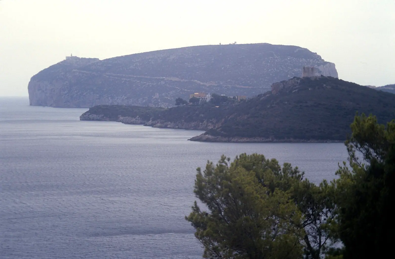 Il paesaggio costiero nell’area di Alghero e Porto Conte
