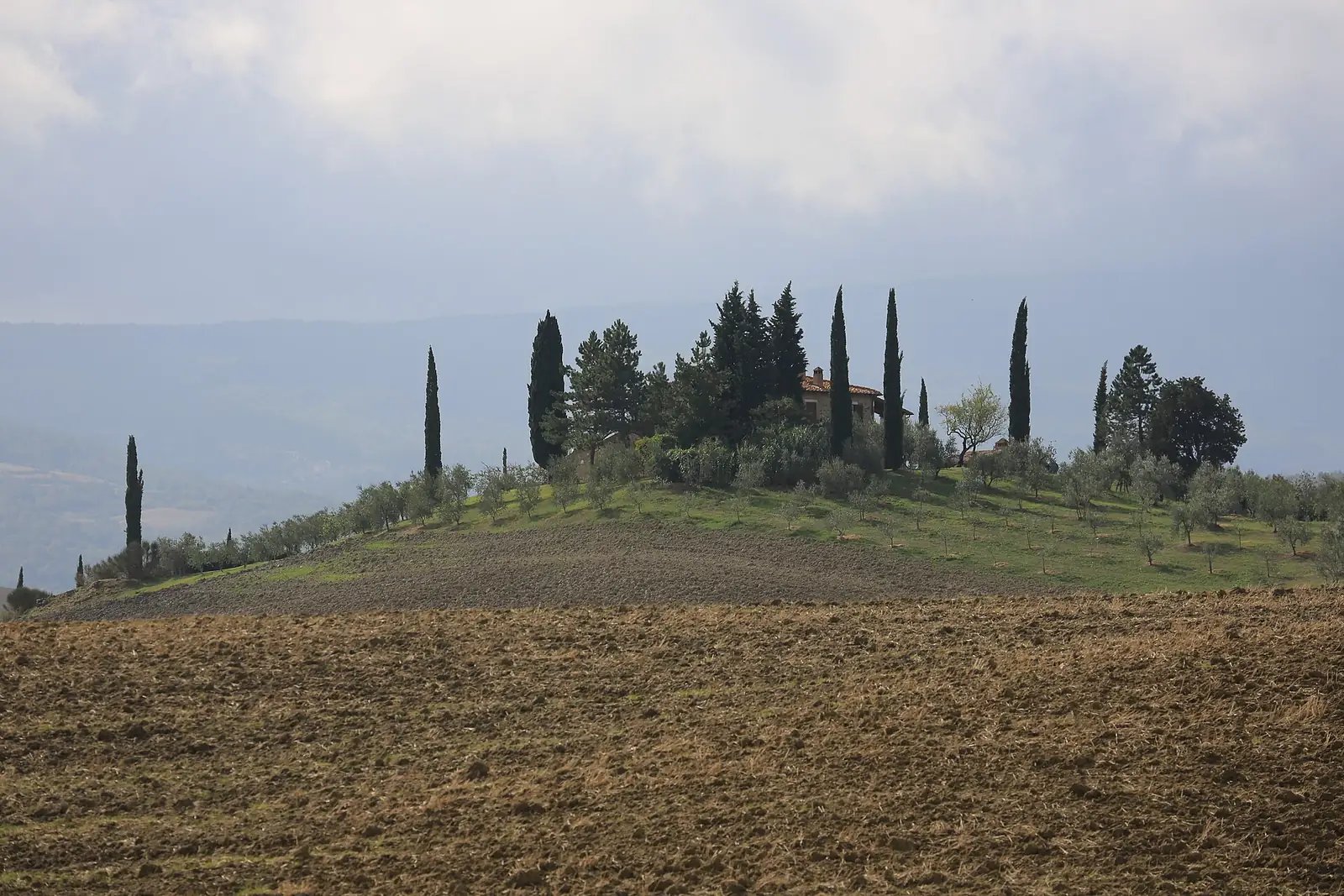 Colline e cipressi della Val d’Orcia